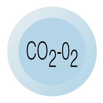 Phản ứng hóa học giữa CO2 và O2 sẽ tạo thành hợp chất gì và phương trình tương ứng là gì?
