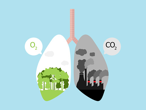 CO2+O2