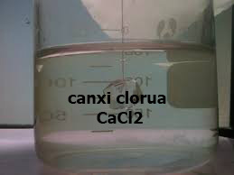 CaCl2