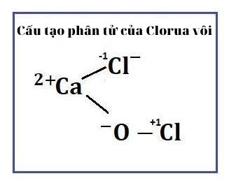 cấu tạo phân tử