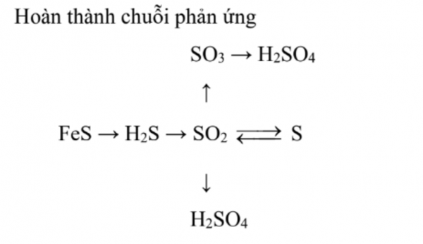 Осуществить схему превращения веществ cus so2 so3 h2so4 caso4 baso4