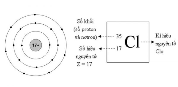 Clo ( Cl ) hóa trị mấy? Nguyên tử khối của Cl và phương pháp tính phân tử khối Cl2