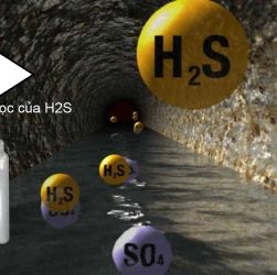 tính chất H2S
