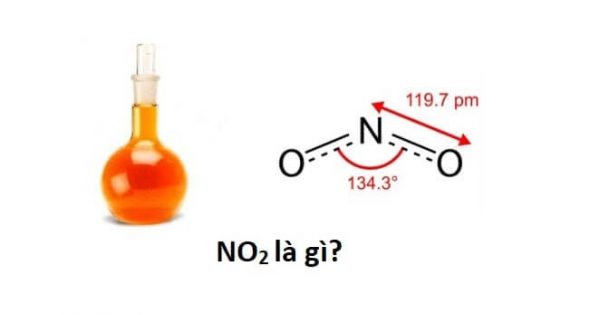 SO2 và SO3 đóng vai trò quan trọng trong quá trình hóa học nào?