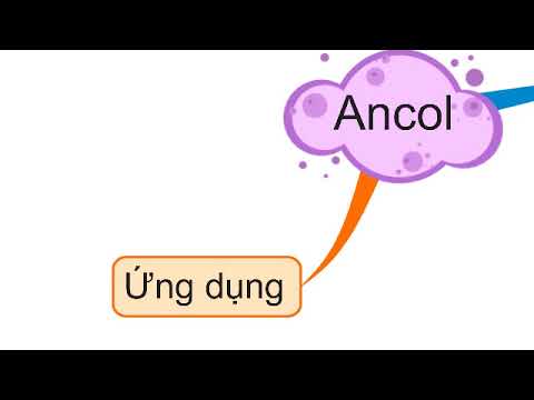 Sơ đồ tư duy ANCOL - Kiến thức hóa học 11 svnckh.edu