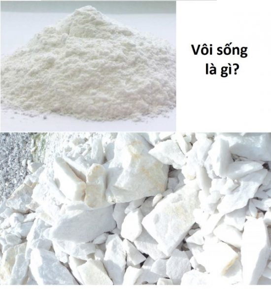 vôi sống