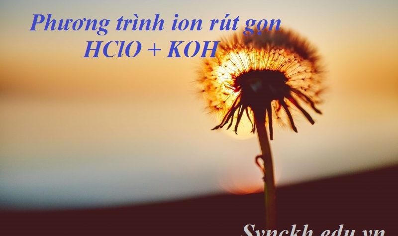 Phương trình ion rút gọn HClO + KOH