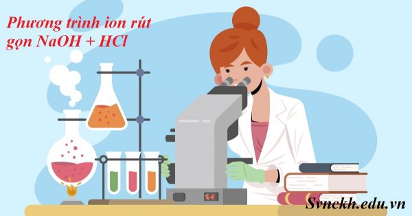 Phương trình ion rút gọn NaOH + HCl 
