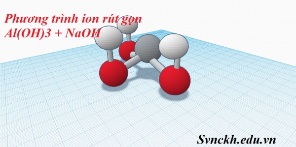 phương trình ion rút gọn al(oh)3 + naoh