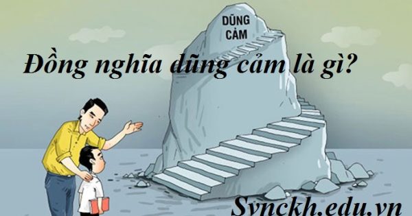 dong nghia dung cam