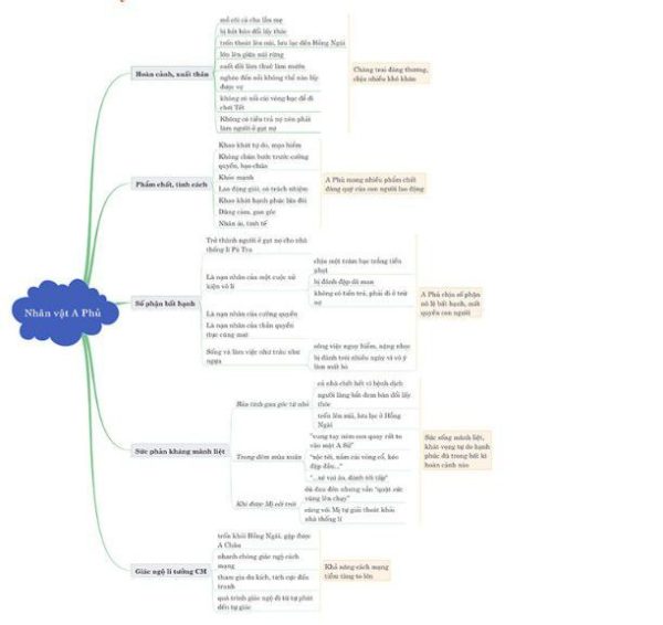 sơ đồ tư duy a phủ 1