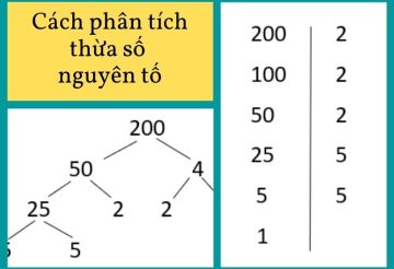 cách phân tích thừa số